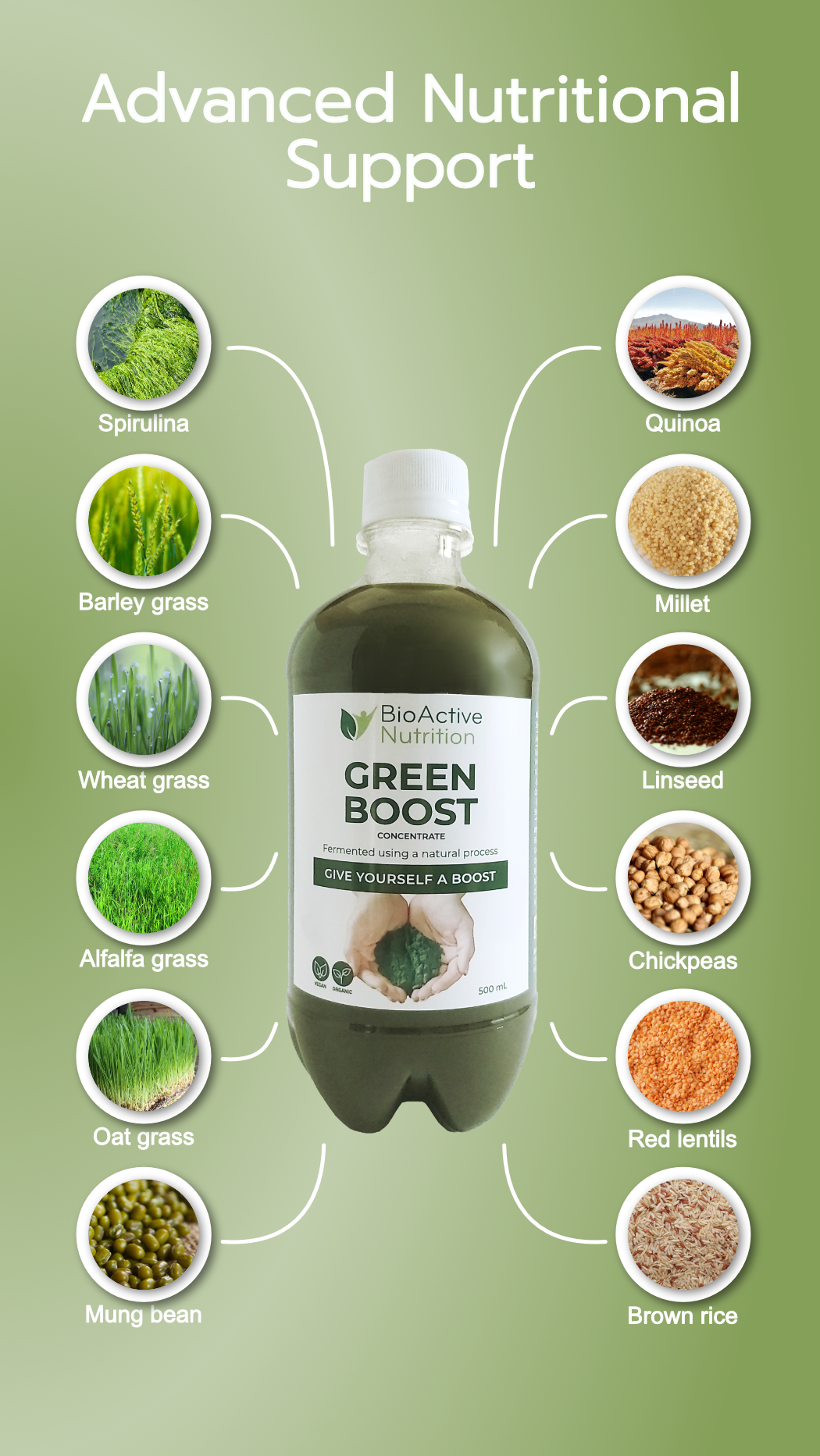 GREEN BOOST 500ML BOTTLE Bioactive Nutrition